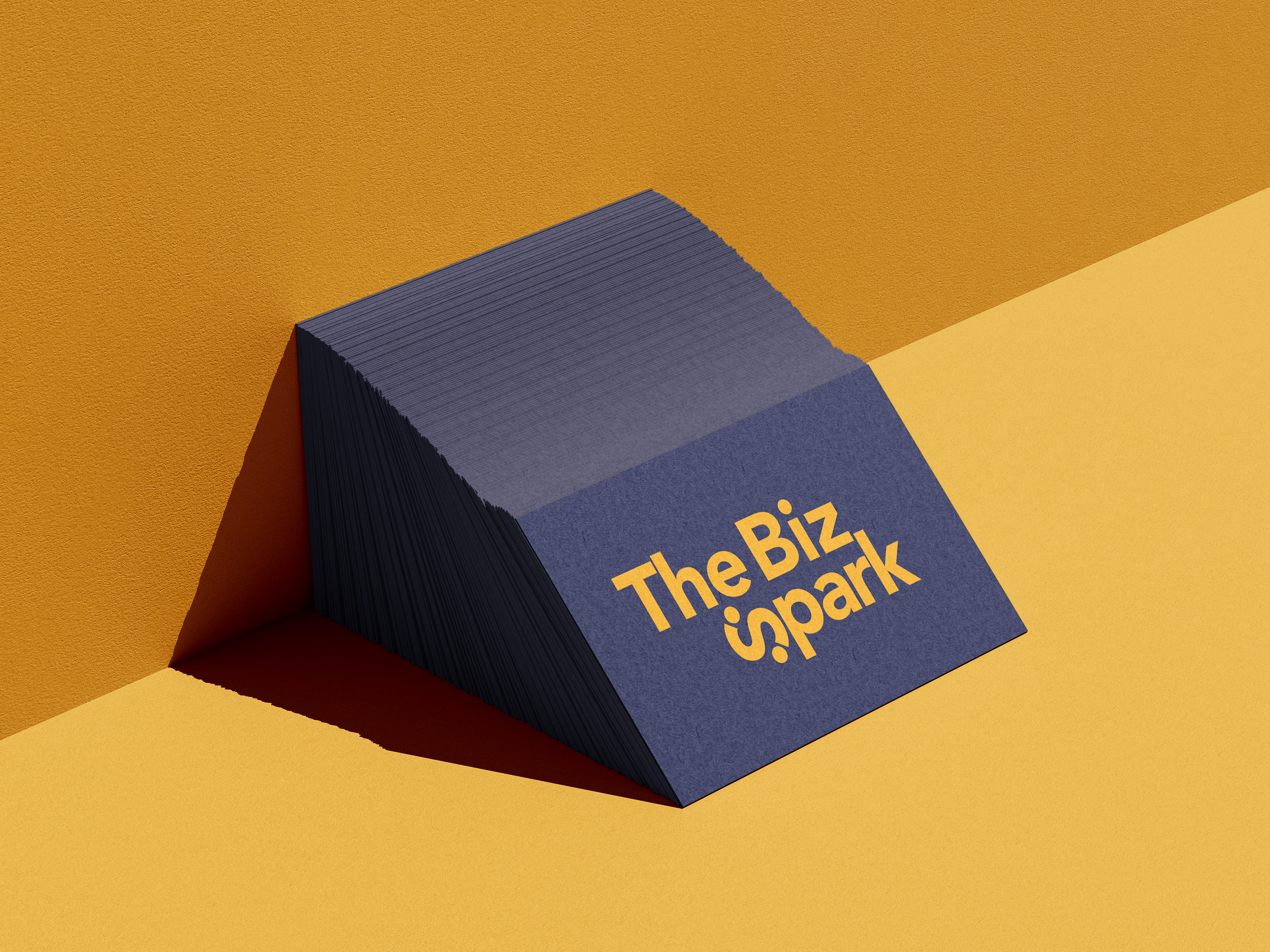 Biz Spark Mockup